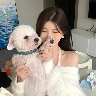 上翼！